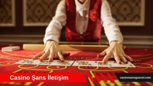 Casino Şans İletişim